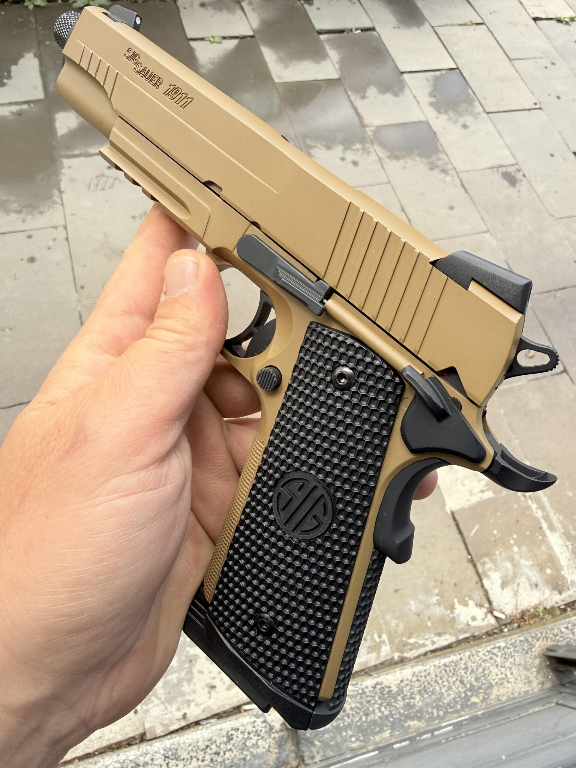 IMG_9851 Sig Sauer 1911